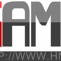 Expert IT Consulting Services