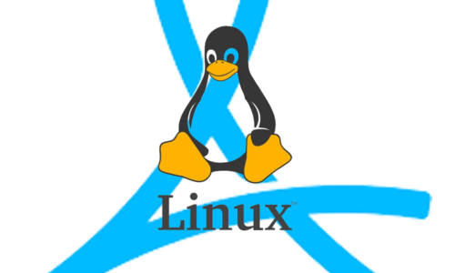 Atavism Linux Server Install – Secured